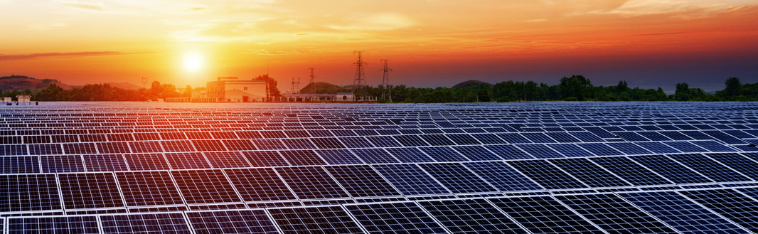 ACME cancels pact to supply power at record low tariff.