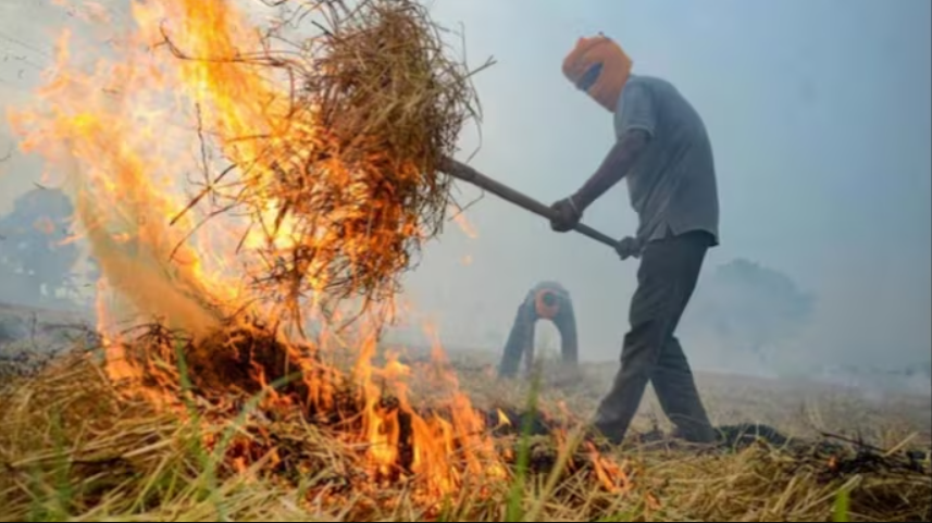 Supreme Court’s Warning to Tackle Stubble Burning and Air Pollution Crisis to Improve Air Quality
